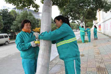 近日，鳳臺(tái)縣園林部門組織人員對(duì)城區(qū)濱河公園、鳳凰文化公園、鳳城大道、體育西路等路段和公園的香樟樹，采取成本低、無(wú)污染的“捆扎草繩法”進(jìn)行防凍保暖，確保樹木安全越冬。(淮南報(bào)業(yè)新聞網(wǎng))
