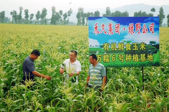 王棟：帶領(lǐng)農(nóng)民共同致富的優(yōu)秀企業(yè)家