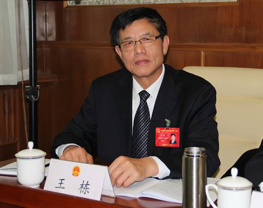 王棟：帶領(lǐng)農(nóng)民共同致富的優(yōu)秀企業(yè)家