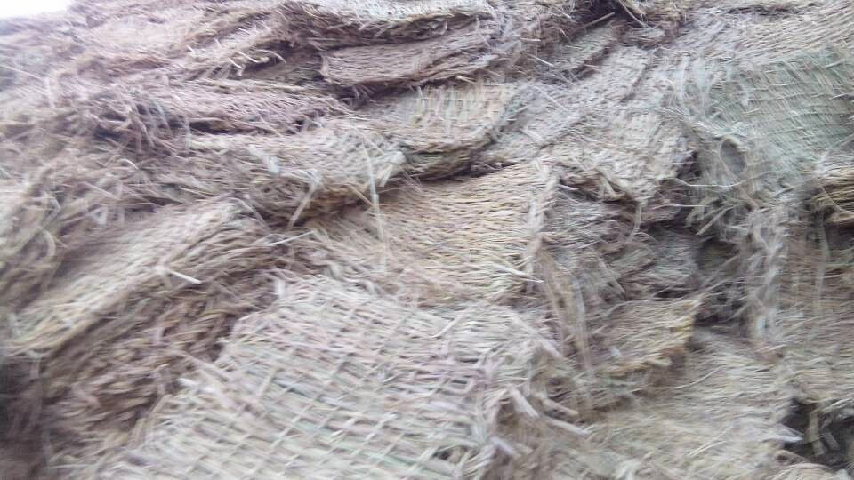 QQ圖片20150104184852
