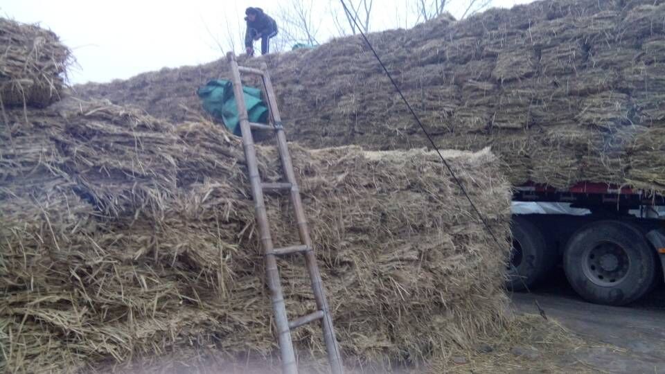 QQ圖片20150106083639