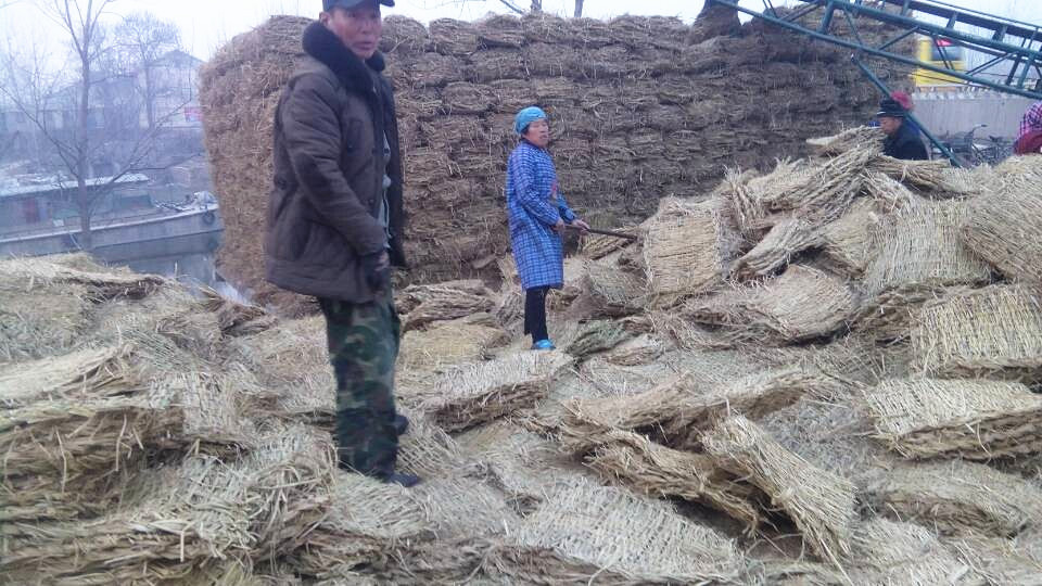 QQ圖片20150104184848