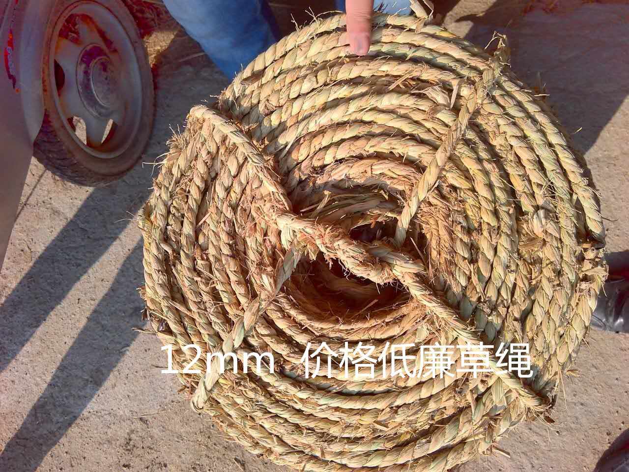 QQ圖片20151214212621_副本