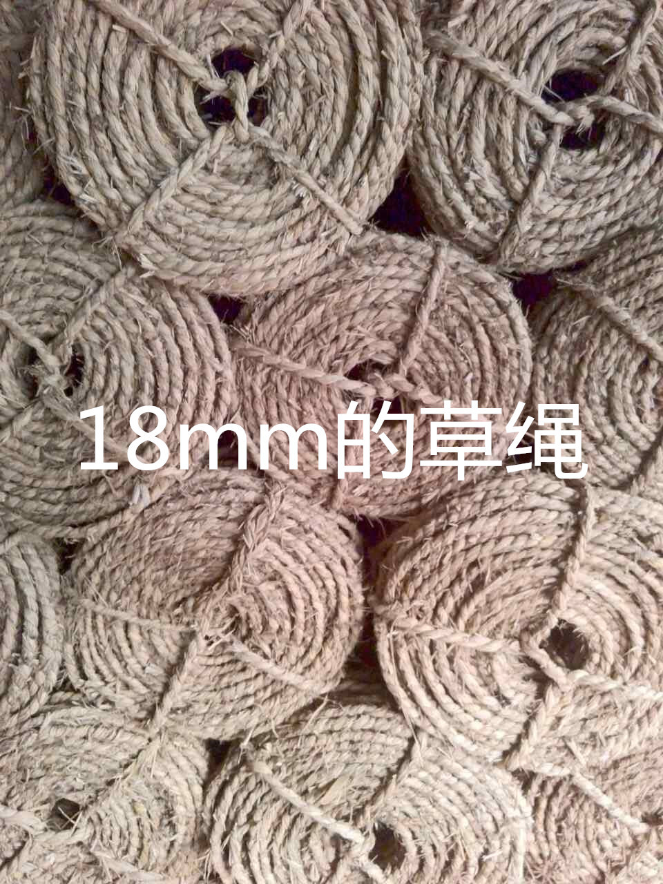 QQ圖片20151212220912_副本