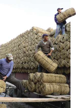 10月31日，如東縣福民草制品專業(yè)合作社裝載工將一家一戶搓的草繩裝車，發(fā)運(yùn)西安。（楊新明/攝）