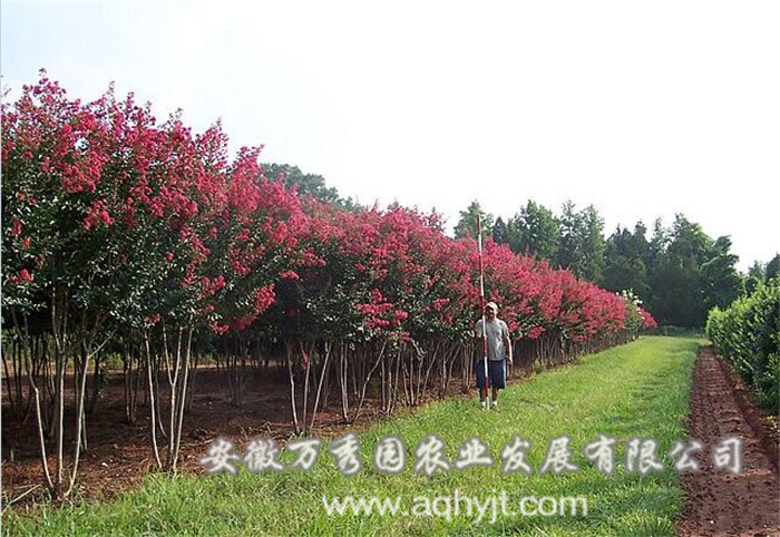 萬秀園