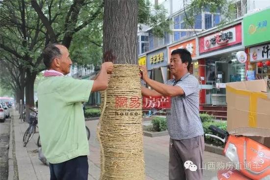 速度猛戳！獨家記錄漪汾街封閉改造工程前夕實景！