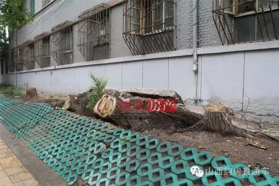 速度猛戳！獨家記錄漪汾街封閉改造工程前夕實景！