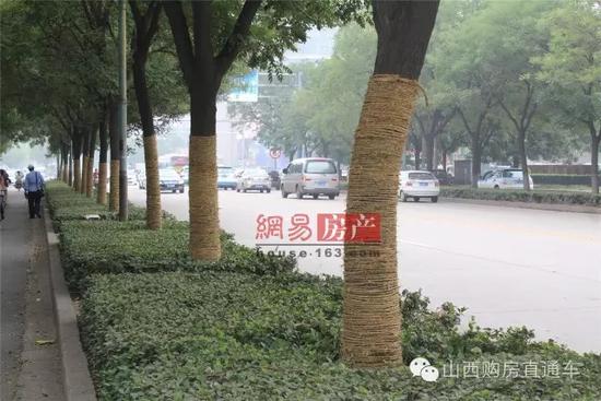 速度猛戳！獨家記錄漪汾街封閉改造工程前夕實景！