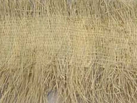 點擊查看詳細信息<br>標題：草片 閱讀次數(shù)：254