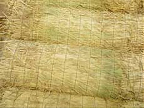 點擊查看詳細信息<br>標題：草苫 閱讀次數(shù)：290