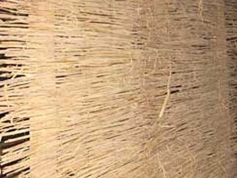 點擊查看詳細信息<br>標題：草簾 閱讀次數(shù)：242