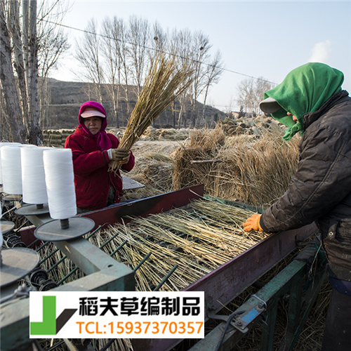 實(shí)拍農(nóng)民稻田收割后稻草的利用，編織成草簾子發(fā)往全國(guó)各地
