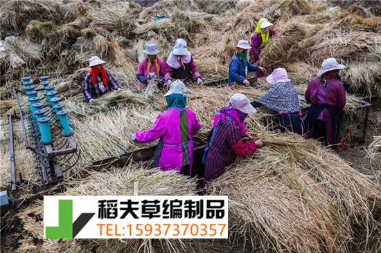 實(shí)拍農(nóng)民稻田收割后稻草的利用，編織成草簾子發(fā)往全國(guó)各地
