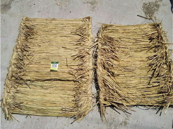 選購草袋廠家的注意事項(xiàng)和技巧 選購草袋廠家的注意事項(xiàng)和技巧