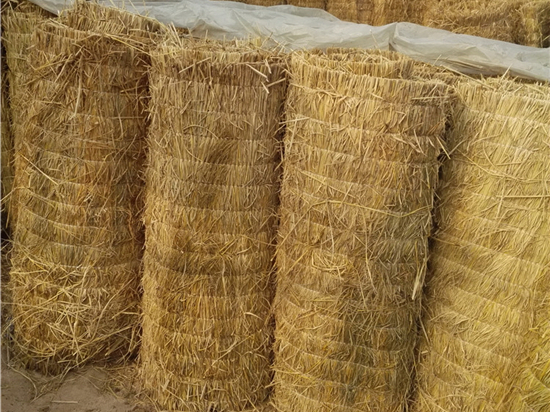 綠化草苫對(duì)環(huán)境保護(hù)的積極作用 綠化草苫對(duì)環(huán)境保護(hù)的積極作用