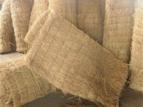 草苫種植與采集的合理規(guī)劃與管理！
