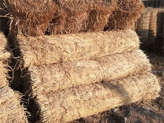 鐵路草簾:賦予鐵路沿線景觀新意義 鐵路草簾:賦予鐵路沿線景觀新意義