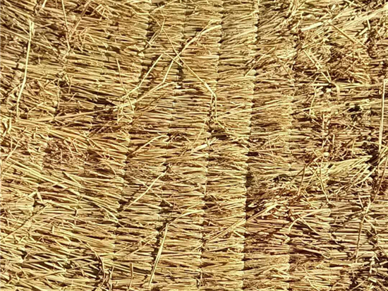 如何判斷草簾廠的專業(yè)程度？