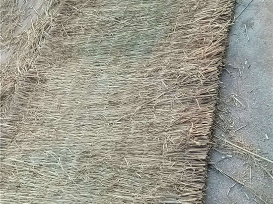 利用草苫進(jìn)行土壤改良的實(shí)踐與探索 利用草苫進(jìn)行土壤改良的實(shí)踐與探索