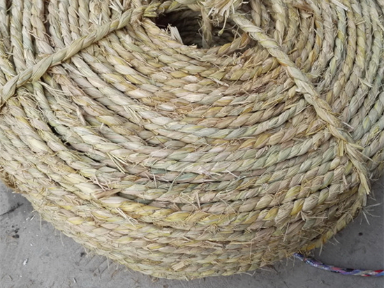 生態(tài)保護(hù)，共建綠色家園——草繩治沙的社會效應(yīng)