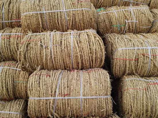 技術(shù)創(chuàng)新促生態(tài)發(fā)展——草繩治沙的跨越性貢獻(xiàn) 技術(shù)創(chuàng)新促生態(tài)發(fā)展——草繩治沙的跨越性貢獻(xiàn)