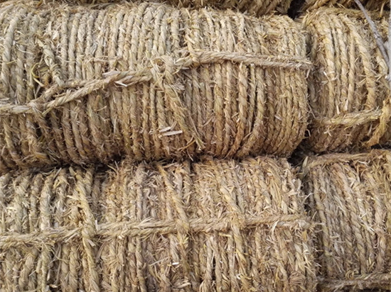 與自然和諧共處，草繩治沙指引我們步入綠色發(fā)展的新時(shí)代