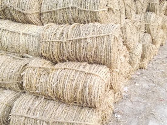 內(nèi)蒙防風(fēng)治沙草繩廠家的發(fā)展趨勢 內(nèi)蒙防風(fēng)治沙草繩廠家的發(fā)展趨勢