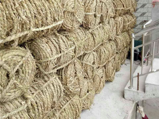 草繩治沙，改變荒漠、調(diào)和氣候、造就美麗中國(guó)