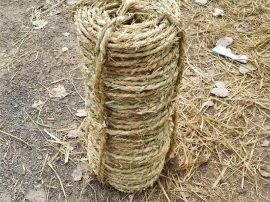 神奇的草繩，讓治沙不再是難題