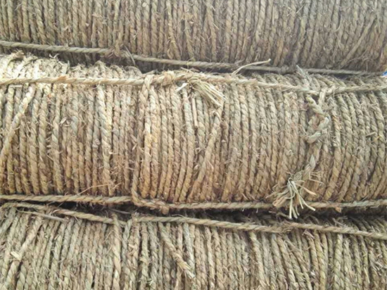 草繩治沙帶來(lái)的不僅是綠色，還有信仰和希望