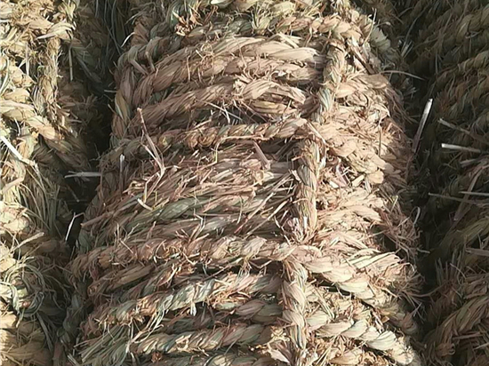 草繩治沙，構建起現代化生態(tài)文明體系的基石