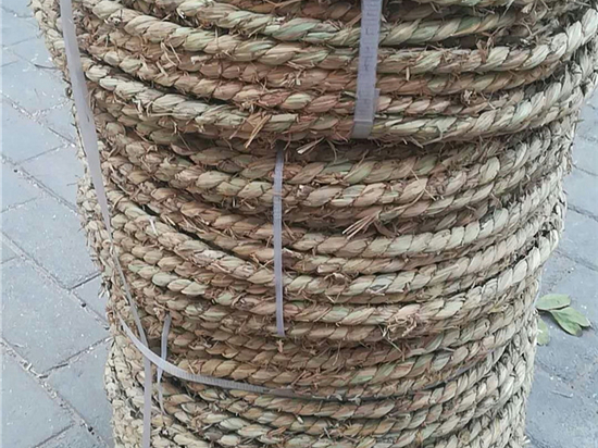 園林綠化保濕保溫草繩規(guī)格與要求詳解