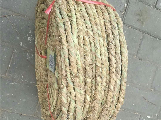 凝聚人民力量，草繩治沙見證生態(tài)文明建設(shè)的偉大進程