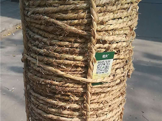 草繩包裝需求量的市場(chǎng)趨勢(shì)分析 草繩包裝需求量的市場(chǎng)趨勢(shì)分析