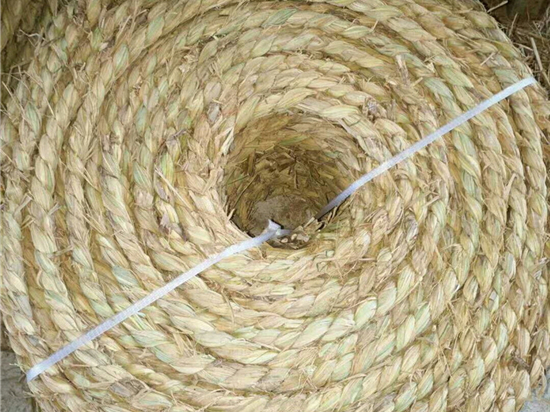 園林綠化保濕保溫草繩規(guī)格與要求詳解
