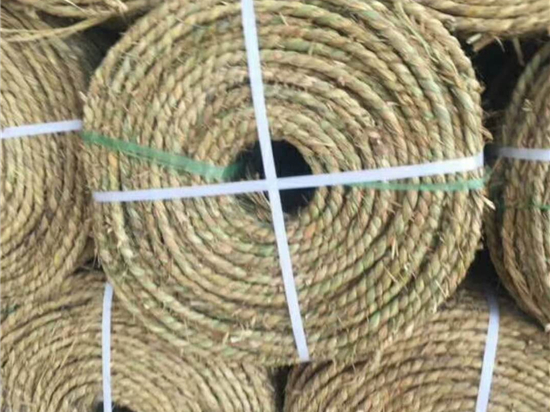 合理利用自然資源，草繩治沙展示中國智慧
