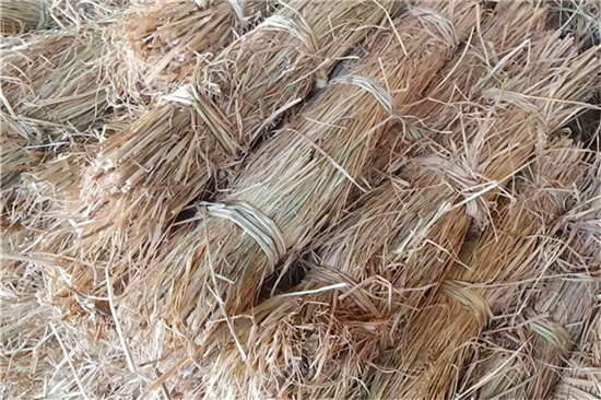 草支墊研發(fā)：滿足不斷變化的市場(chǎng)需求