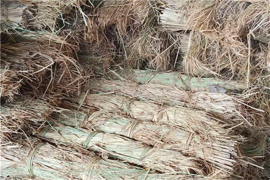 探究防滑草支墊的優(yōu)良性能及應(yīng)用 探究防滑草支墊的優(yōu)良性能及應(yīng)用