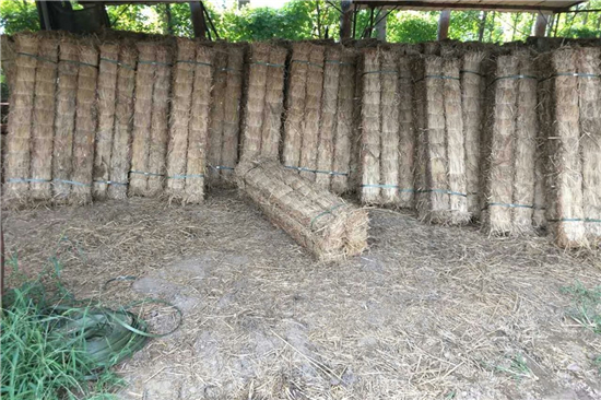 選擇草支墊，為地球做貢獻，為自己保駕護航