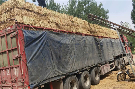 鐵路草支墊廠家:專注提升運(yùn)輸安全性 鐵路草支墊廠家:專注提升運(yùn)輸安全性