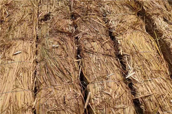草支墊購買:滿足不同運輸場景的需求 草支墊購買:滿足不同運輸場景的需求
