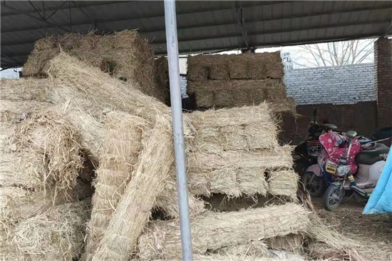 草棒護(hù)坡工程的施工技術(shù)與管理 草棒護(hù)坡工程的施工技術(shù)與管理