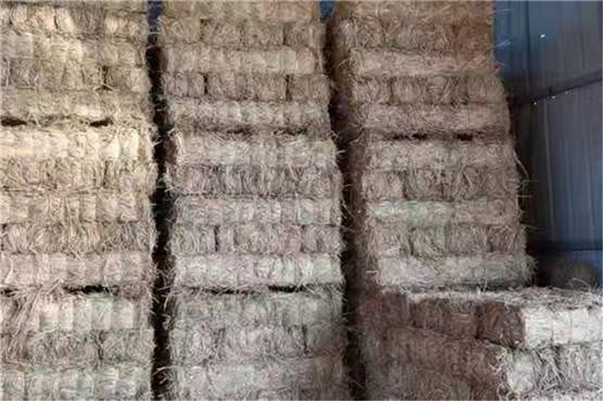 防滑草支墊在新能源汽車運輸中的應(yīng)用 防滑草支墊在新能源汽車運輸中的應(yīng)用