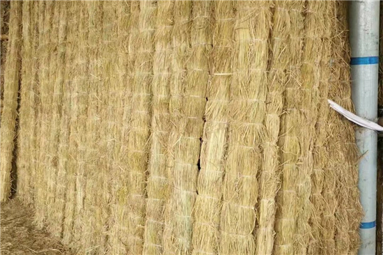 生態(tài)護(hù)坡草棒:助力生態(tài)文明建設(shè) 生態(tài)護(hù)坡草棒:助力生態(tài)文明建設(shè)