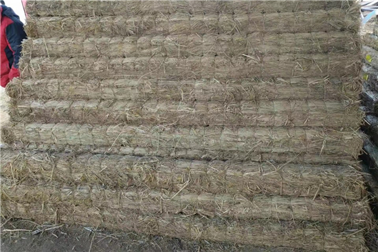 未來鐵路草支墊的發(fā)展方向 未來鐵路草支墊的發(fā)展方向