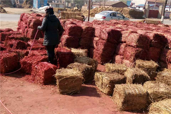 綠色防滑材料:凹型草支墊的優(yōu)勢與前景 綠色防滑材料:凹型草支墊的優(yōu)勢與前景
