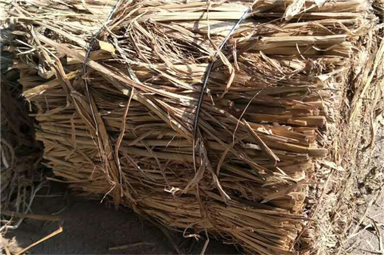 鐵路貨運(yùn)新選擇:阻燃草支墊的優(yōu)勢解析 鐵路貨運(yùn)新選擇:阻燃草支墊的優(yōu)勢解析