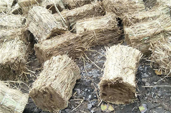 草支墊創(chuàng)新之作:凹型設(shè)計(jì)帶來(lái)更高防滑性能 草支墊創(chuàng)新之作:凹型設(shè)計(jì)帶來(lái)更高防滑性能