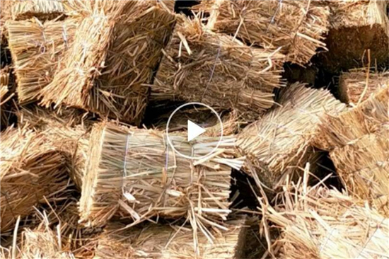 鐵路工程中草支墊的使用是否會(huì)對(duì)環(huán)境造成污染？